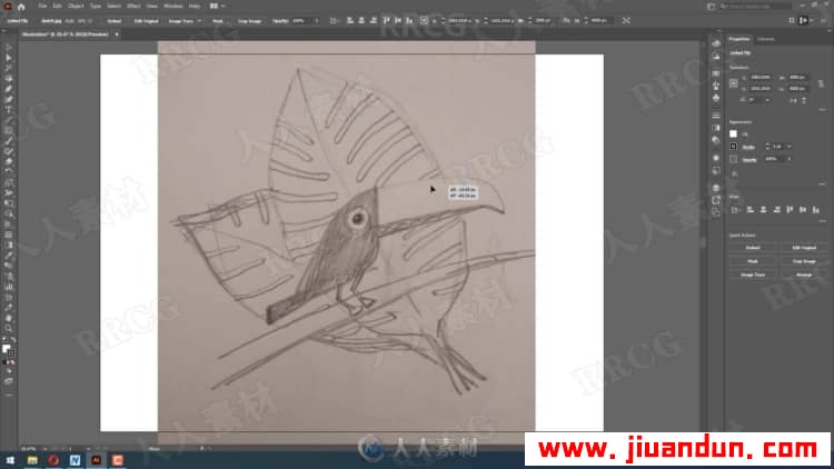 Illustrator初学者基本手绘草图创建矢量插图过程技术视频教程 AI 第9张