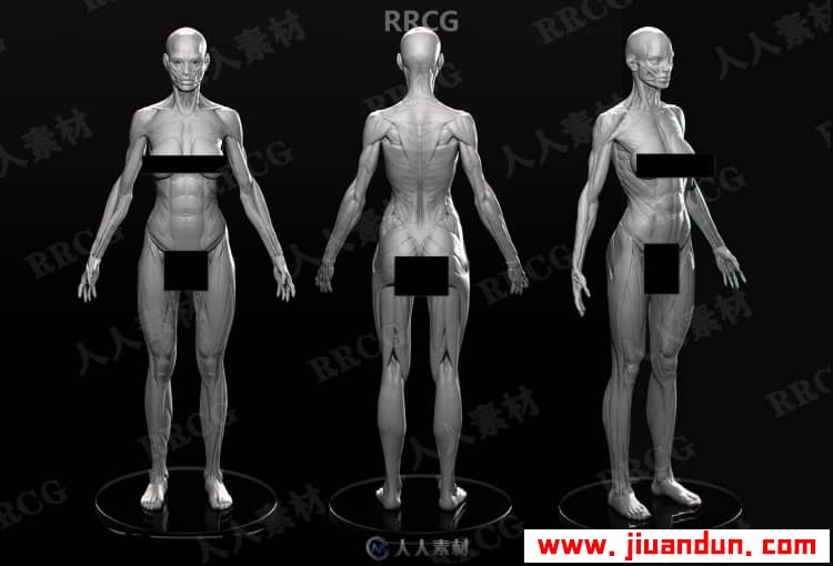 女性身材形象结构剖析数字绘画技术视频教程 CG 第2张