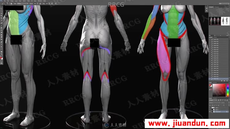 女性身材形象结构剖析数字绘画技术视频教程 CG 第10张