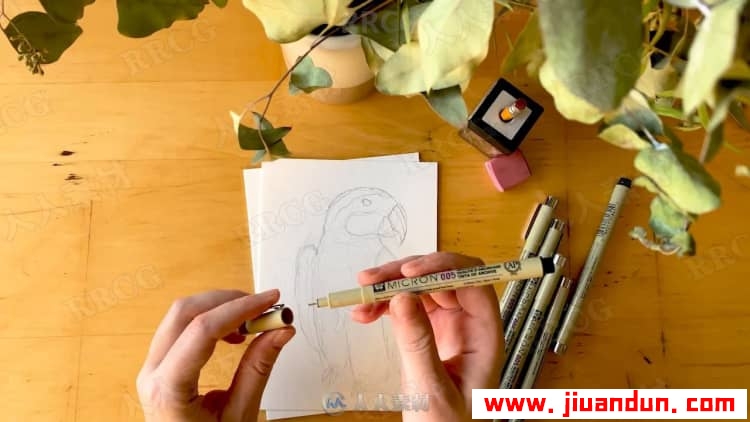 针管笔写实逼真动物传统手绘视频教程 CG 第11张