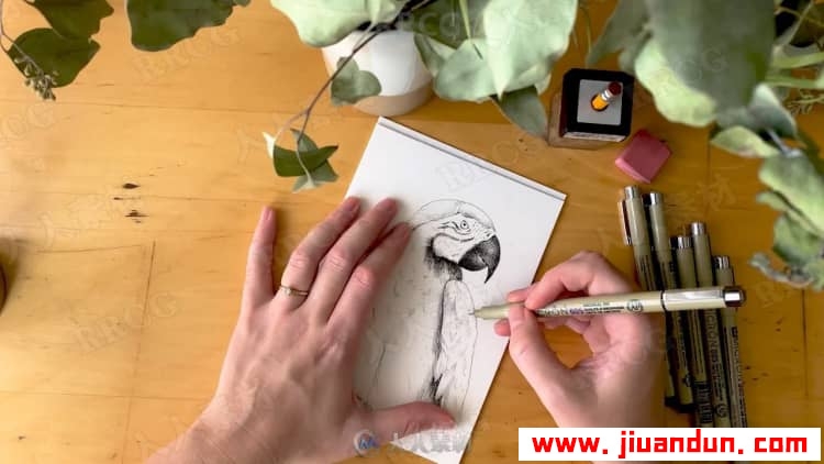 针管笔写实逼真动物传统手绘视频教程 CG 第12张