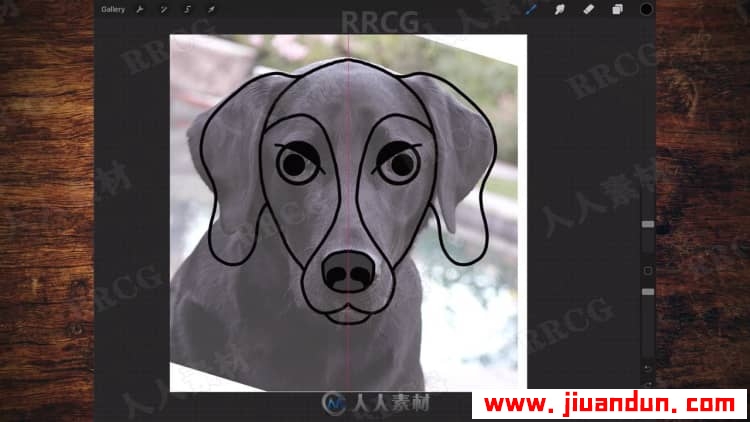 Procreate搞怪动物肖像平面插画绘制数字绘画视频教程 design others 第8张