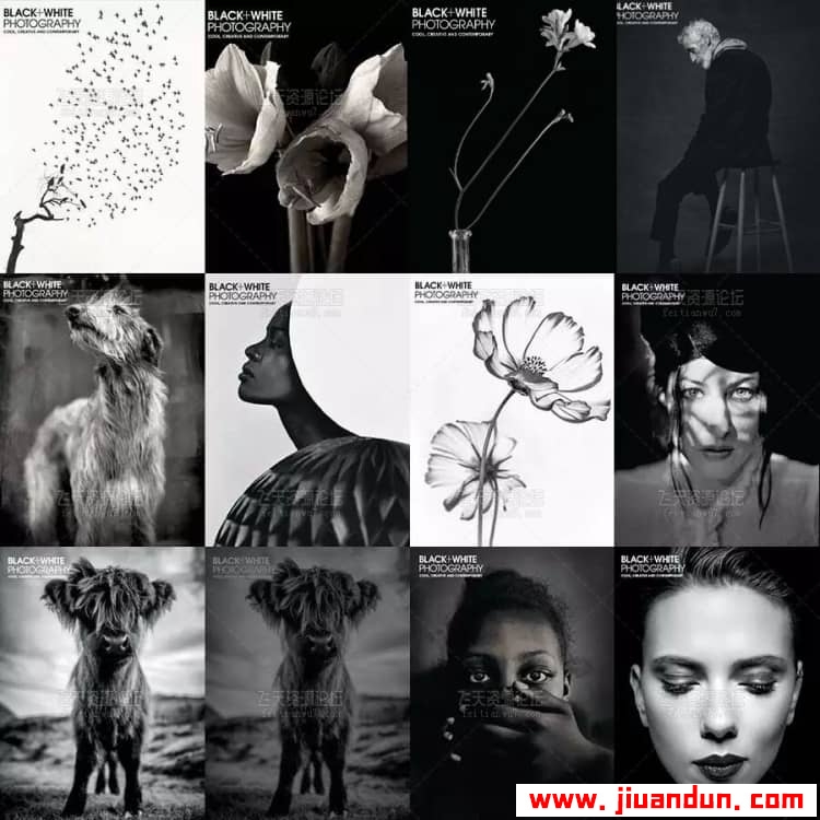 Black White Photography 美国黑白摄影杂志2009-2020年合集收藏版(全110本) 摄影 第1张
