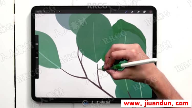 Procreate绘画平面风格水粉植物数字水粉画视频教程 CG 第2张