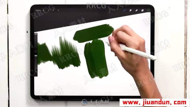 Procreate绘画平面风格水粉植物数字水粉画视频教程 CG 第4张