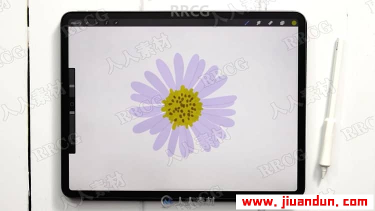 Procreate绘画平面风格水粉植物数字水粉画视频教程 CG 第9张