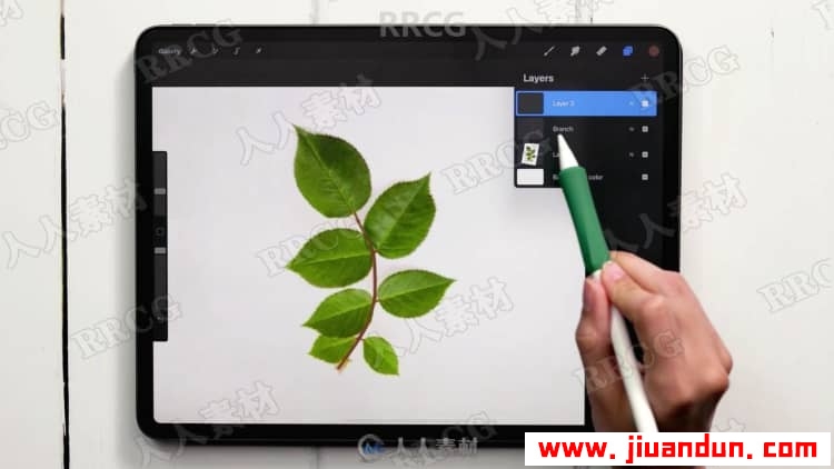 Procreate绘画平面风格水粉植物数字水粉画视频教程 CG 第10张