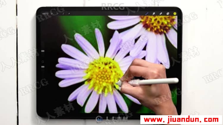 Procreate绘画平面风格水粉植物数字水粉画视频教程 CG 第11张