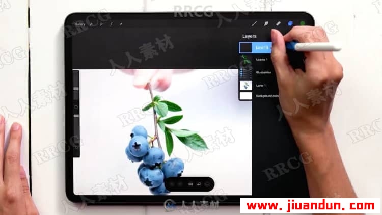 Procreate绘画平面风格水粉植物数字水粉画视频教程 CG 第12张
