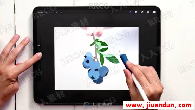 Procreate绘画平面风格水粉植物数字水粉画视频教程 CG 第13张