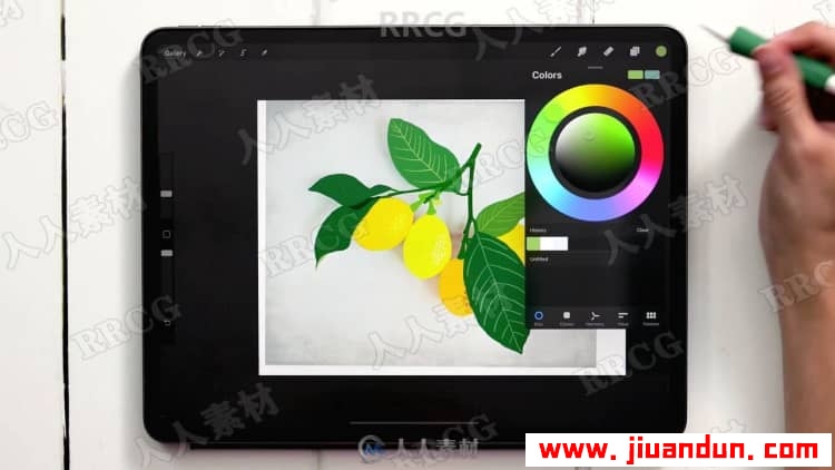 Procreate绘画平面风格水粉植物数字水粉画视频教程 CG 第15张