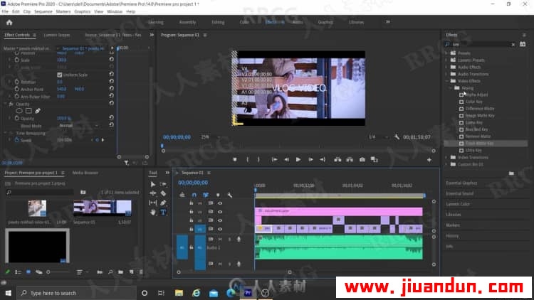 Premiere Pro编辑 Vlog视频完整过程技能训练视频教程 PR 第8张
