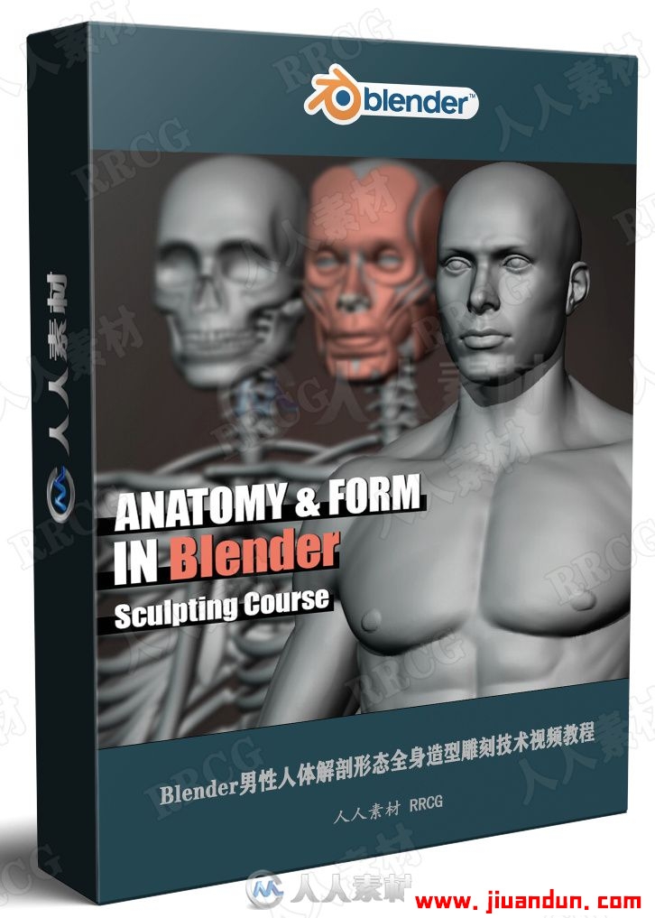 Blender男性人体解剖形态全身造型雕刻技术视频教程 3D 第1张