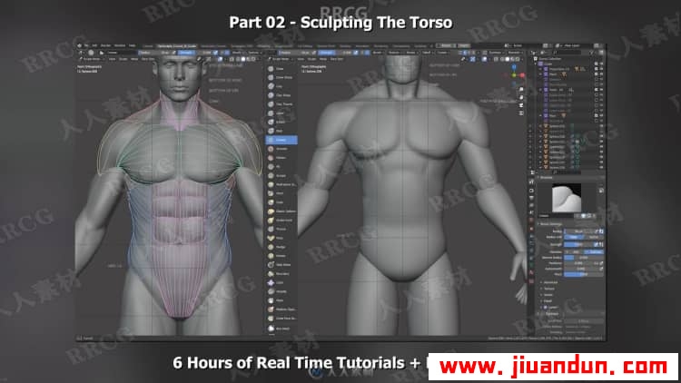 Blender男性人体解剖形态全身造型雕刻技术视频教程 3D 第2张