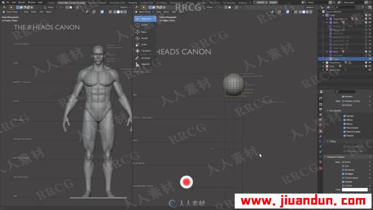 Blender男性人体解剖形态全身造型雕刻技术视频教程 3D 第4张