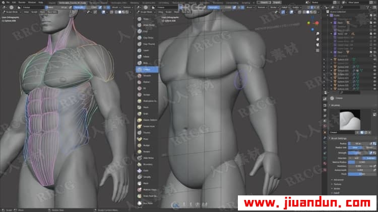 Blender男性人体解剖形态全身造型雕刻技术视频教程 3D 第5张