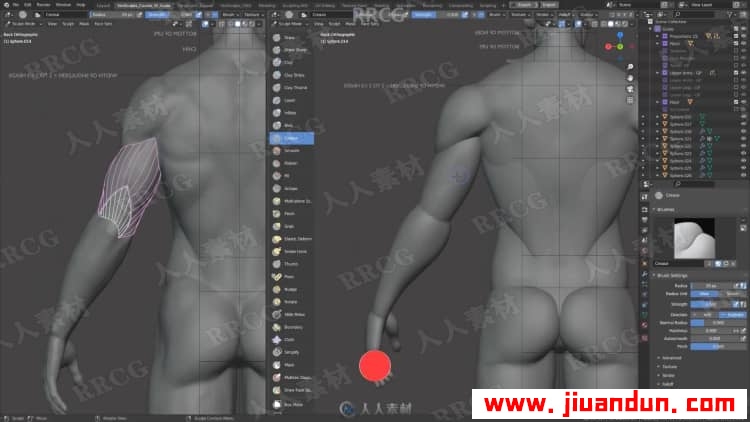 Blender男性人体解剖形态全身造型雕刻技术视频教程 3D 第7张