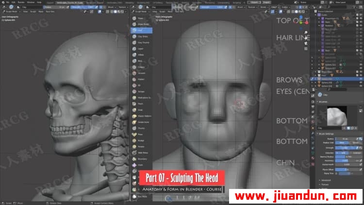 Blender男性人体解剖形态全身造型雕刻技术视频教程 3D 第9张