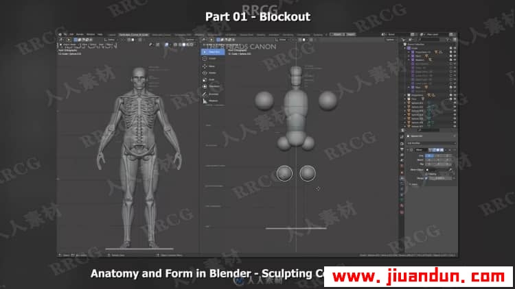 Blender男性人体解剖形态全身造型雕刻技术视频教程 3D 第12张