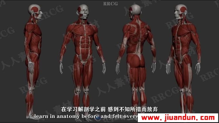 【中文字幕】Zbrush男性动作解剖学雕刻大师级完整训练视频教程 3D 第5张