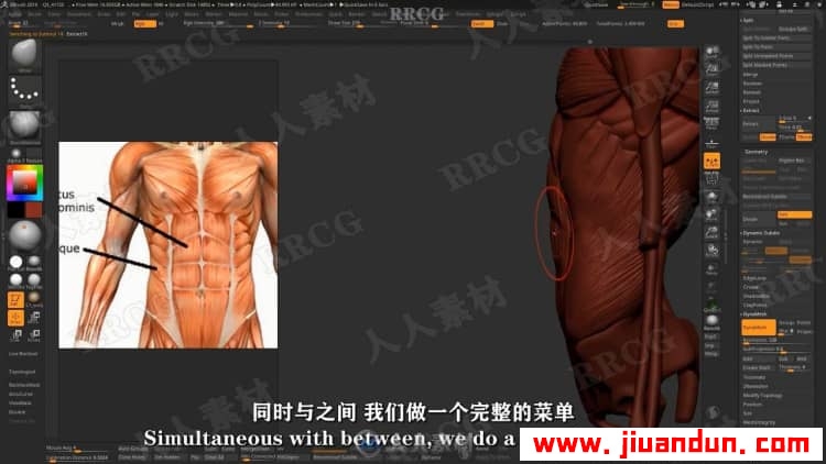 【中文字幕】Zbrush男性动作解剖学雕刻大师级完整训练视频教程 3D 第8张