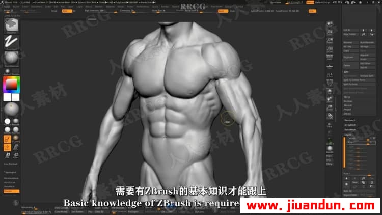 【中文字幕】Zbrush男性动作解剖学雕刻大师级完整训练视频教程 3D 第13张