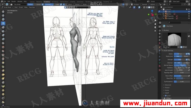 Blender全身人体解剖雕刻实例训练视频教程 3D 第10张