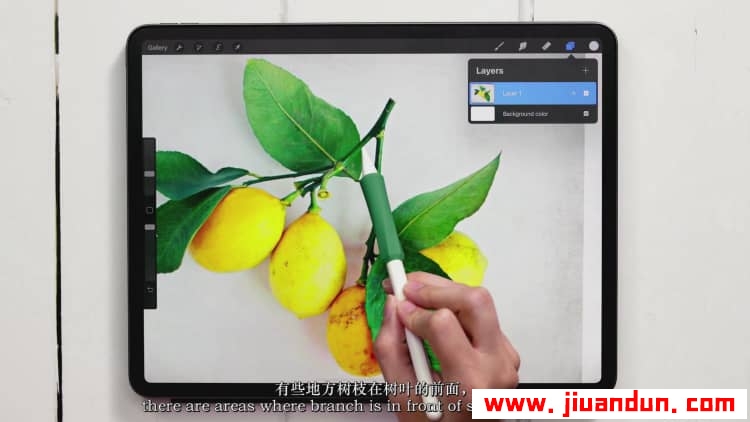 Procreate教程-在Procreate中的水粉植物绘画教程-中英字幕 CG 第6张