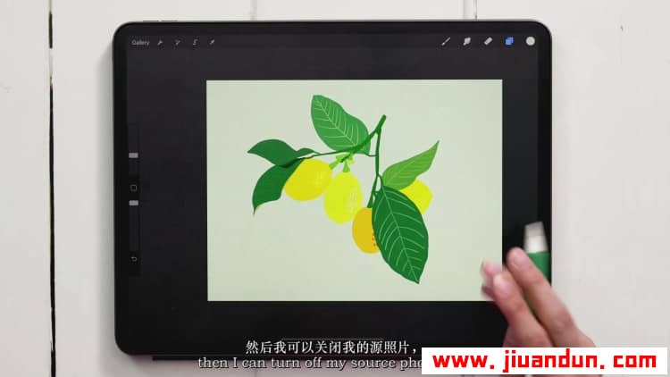 Procreate教程-在Procreate中的水粉植物绘画教程-中英字幕 CG 第8张