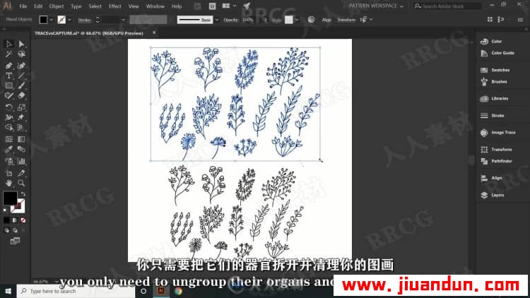 【中文字幕】AI初学者花卉植物重复图案平面插图设计视频教程 AI 第8张