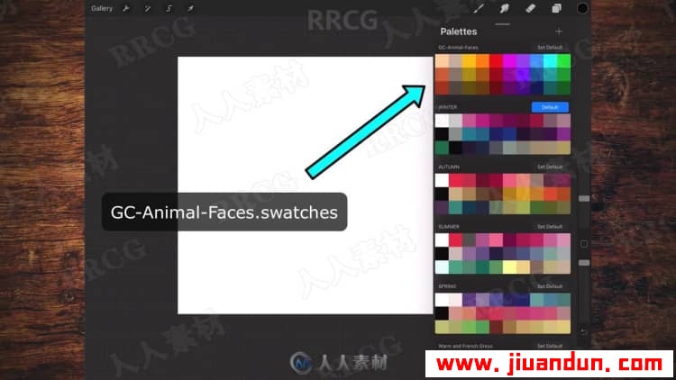 IPAD中Procreate古怪平面动物肖像插画绘制视频教程 CG 第11张