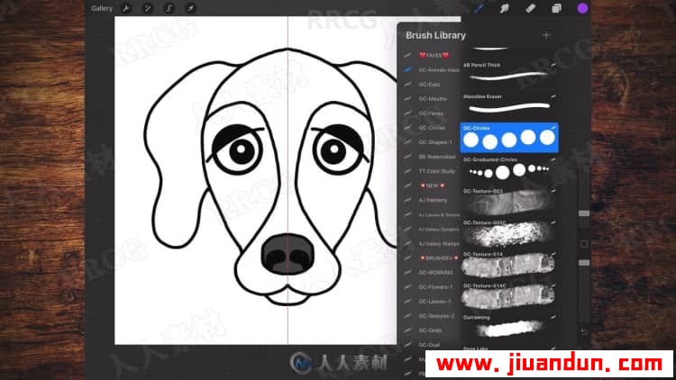 IPAD中Procreate古怪平面动物肖像插画绘制视频教程 CG 第13张