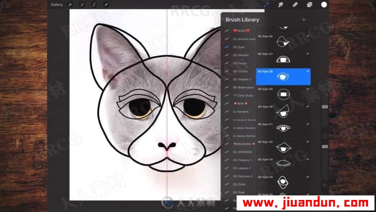 IPAD中Procreate古怪平面动物肖像插画绘制视频教程 CG 第14张