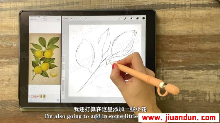 【中文字幕】IPAD上卡通矢量平面图形创建数字绘画视频教程 CG 第9张