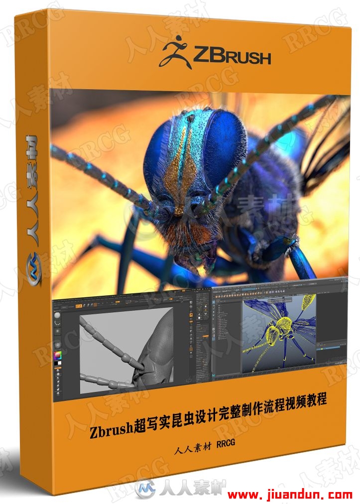 Zbrush超写实昆虫设计完整制作流程视频教程 3D 第1张