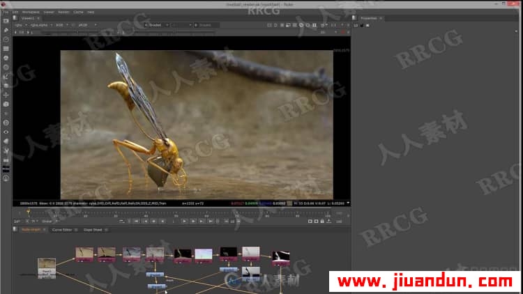 Zbrush超写实昆虫设计完整制作流程视频教程 3D 第9张