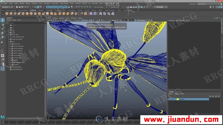 Zbrush超写实昆虫设计完整制作流程视频教程 3D 第10张