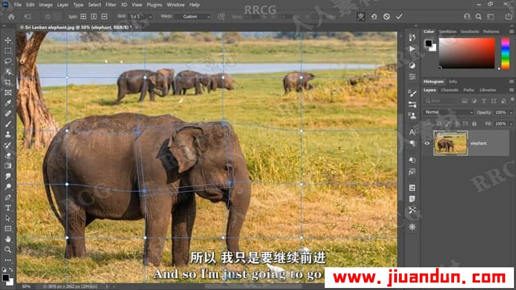 【中文字幕】Photoshop 2021一对一高级技能训练视频教程 PS教程 第17张