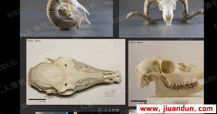 Zbrush奇美拉动物骨架数字雕刻实例训练视频教程 3D 第2张