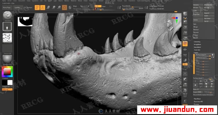Zbrush奇美拉动物骨架数字雕刻实例训练视频教程 3D 第13张