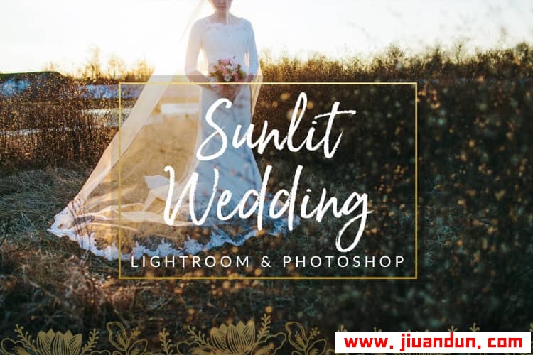 阳光下的婚礼Lightroom预设与Photoshop (xmp)预设 Sunlit Wedding Presets LR预设 第1张