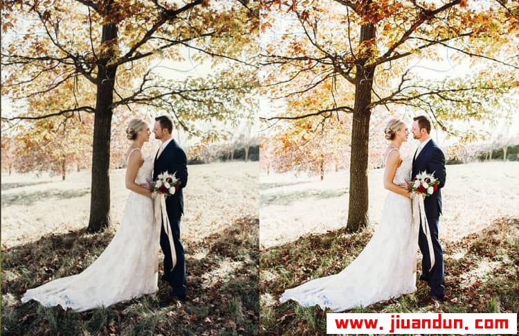 阳光下的婚礼Lightroom预设与Photoshop (xmp)预设 Sunlit Wedding Presets LR预设 第8张
