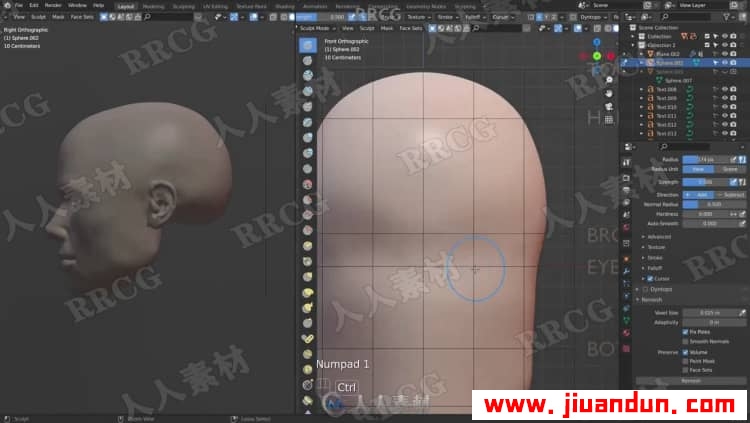 Blender人物头部数字雕刻技术训练视频教程 3D 第2张