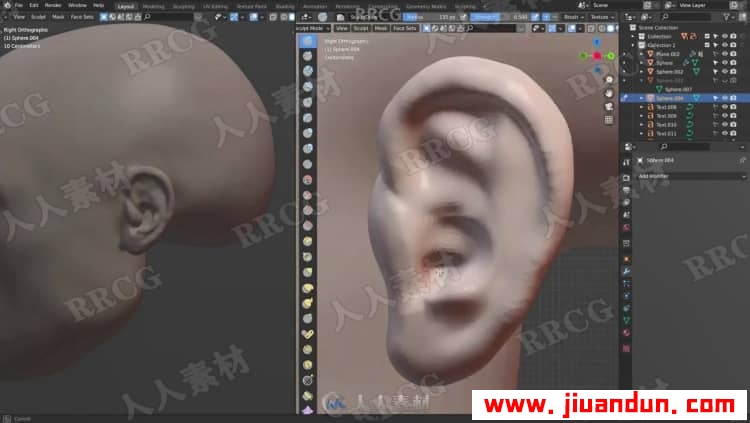Blender人物头部数字雕刻技术训练视频教程 3D 第5张