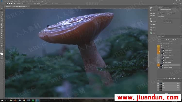 PS黑暗森林中神秘发光蘑菇幻想图像后期制作视频教程 PS教程 第3张