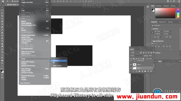 【中文字幕】Photoshop 2020初学者照片编辑技能训练视频教程 PS教程 第7张