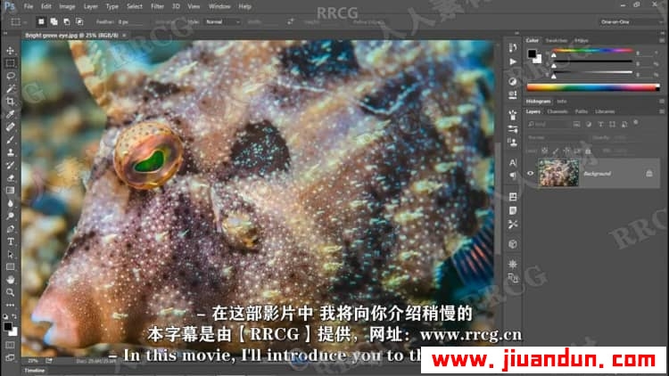 【中文字幕】Photoshop 2021一对一高级技能训练视频教程 PS教程 第18张
