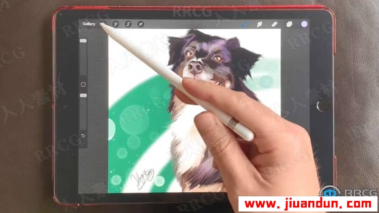 Procreate宠物逼真写实可爱肖像数字绘画视频教程 CG 第3张