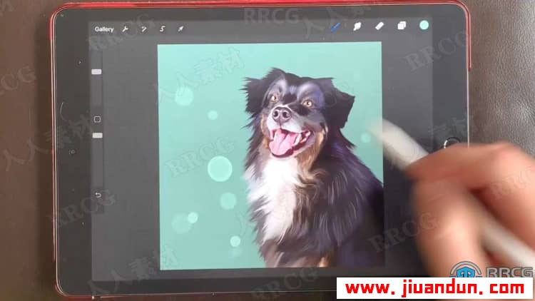 Procreate宠物逼真写实可爱肖像数字绘画视频教程 CG 第11张