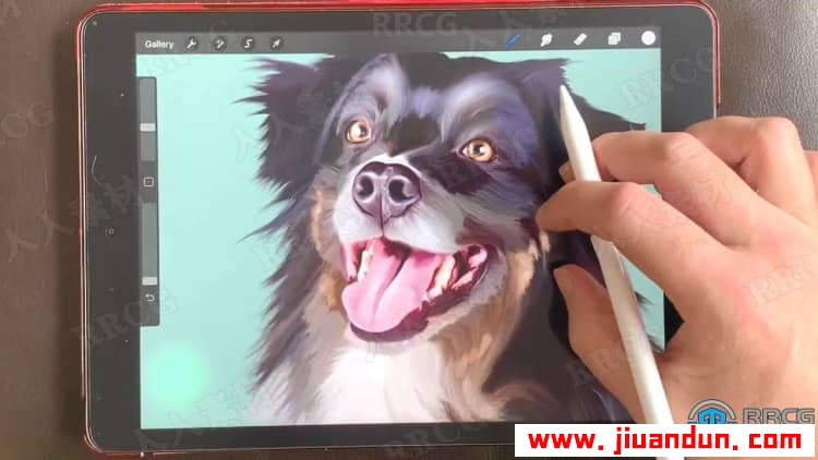 Procreate宠物逼真写实可爱肖像数字绘画视频教程 CG 第12张